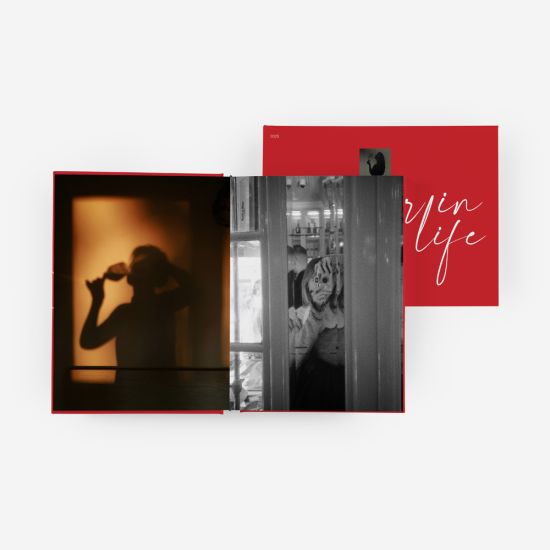 Álbum A Year in My Life 4